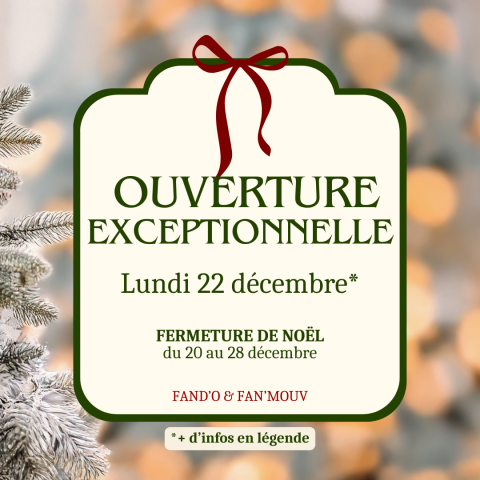 offres de noel au centre FAN D'O Carquefou